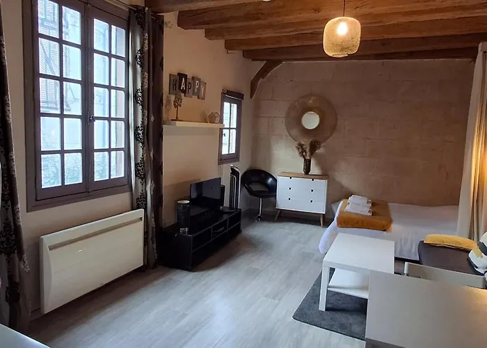 Appartement Typique Au Coeur Du Vieux Tours