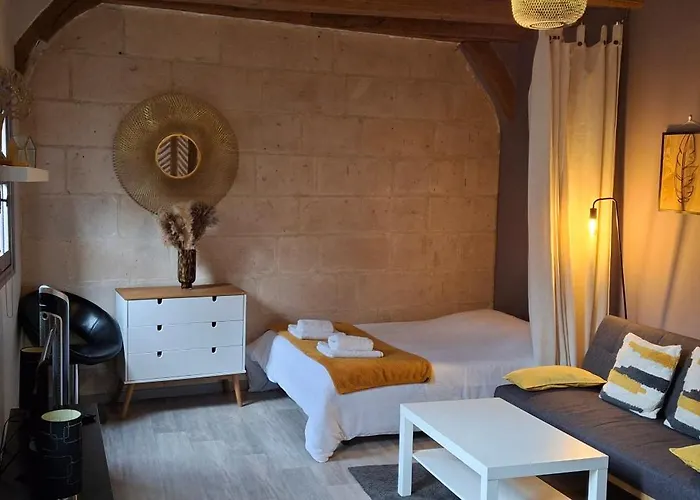 Appartement Typique Au Coeur Du Vieux Tours