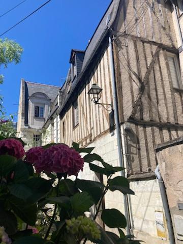 Typique Au Coeur Du Vieux Apartment Tours
